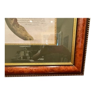 Ethan Allen Framed Anchovy Pear Tree Print For Sale