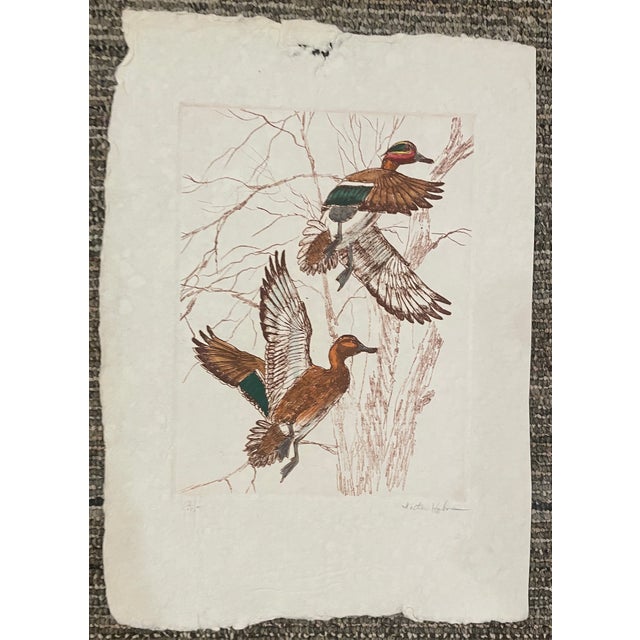 Traditional Victory Hohne Green Wing Teal Flying Etching For Sale - Image 3 of 3