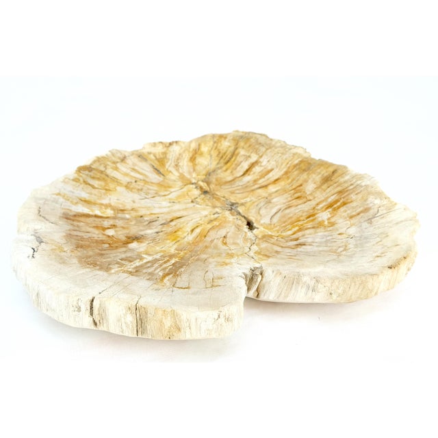 Mid-Century Modern Petrified Wood Round Shape Tan & Amber Oval Bowl Dish Large Plate Ashtray For Sale - Image 3 of 8