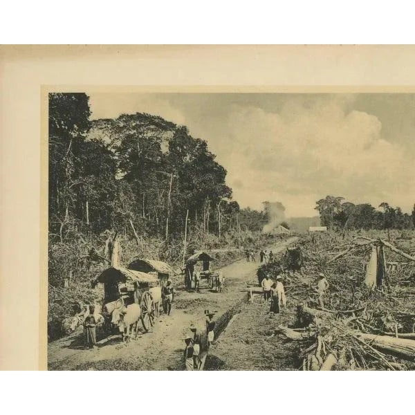 No.148 of the collection of plates published by Kleynenberg & Co. Each plate includes a title and number. This plate is...