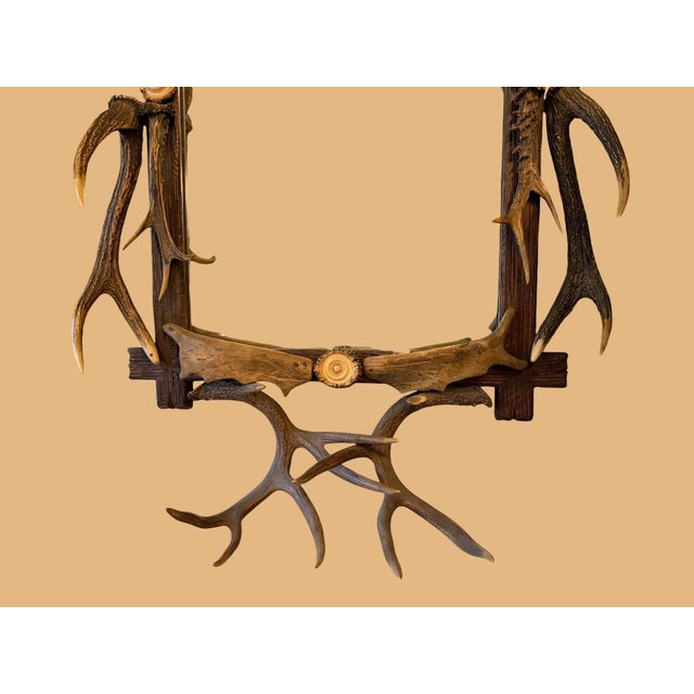 Antler Mirror German Antique Dog Rosette For Sale - Image 4 of 10