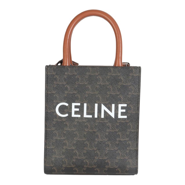 Brown Triomphe Canvas Mini Vertical Cabas For Sale
