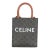 Brown Triomphe Canvas Mini Vertical Cabas For Sale