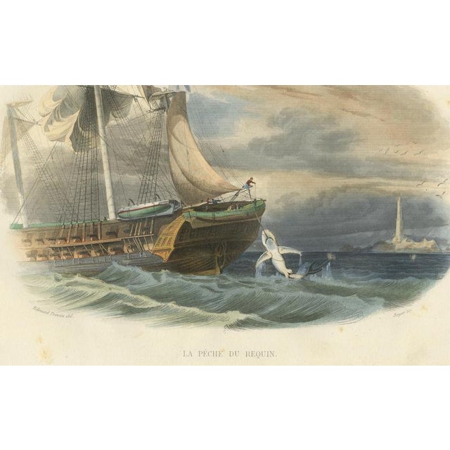 Mid 19th Century After Édouard Traviès, Shark Fishing, 1840, Hand-Colored Engraving For Sale - Image 5 of 10