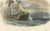 Mid 19th Century After Édouard Traviès, Shark Fishing, 1840, Hand-Colored Engraving For Sale - Image 5 of 10