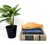 Charming, pottery fish wall pocket crafted in warm terracotta-toned stoneware with soft celadon-green glazed fins and...