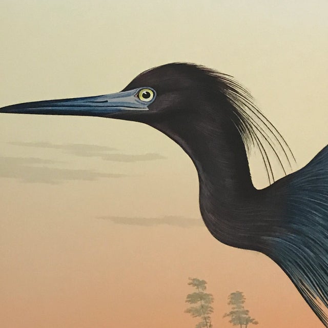 1980s John James Audubon's 'Birds of America'- M. Bernard Loates Edition (Set of Prints) For Sale - Image 5 of 13