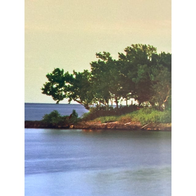 Jeff Mitchum “Essence” Framed Panoramic Landscape Photo on Glass For Sale - Image 4 of 10