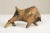 Metal Mid Century Modern Cast Iron Bull Sculpture For Sale - Image 7 of 12