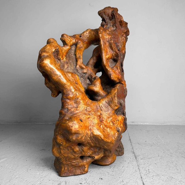 Stunning and intricately shaped burl wood from Japan. An exceptionally beautiful organic and natural object that perfectly...