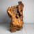 Stunning and intricately shaped burl wood from Japan. An exceptionally beautiful organic and natural object that perfectly...