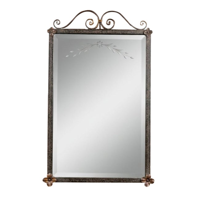 Art Nouveau French Style Cast Iron Wall Mirror With Applied Brass Rosettes & Beveled Etched Glass For Sale