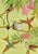 William Neave Parker, Hummingbirds Illustration, 1950s, Gouache For Sale