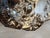 19th C Art Nouveau Sterling Silver Rose Bowl or Bonbon Dish For Sale - Image 9 of 14
