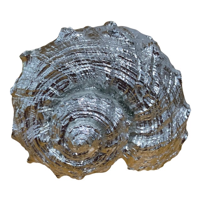 Vintage Faux Metallic Silver Sea Shell For Sale