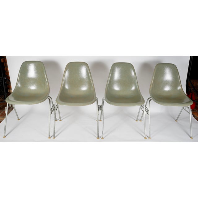 Herman Miller Vintage Eames Fiberglass DSS Stacking Chairs by Charles and Ray Eames for Herman Miller Set of 4 For Sale - Image 4 of 12