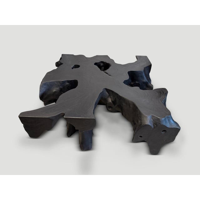 Andrianna Shamaris Organic Teak Wood Root Coffee Table For Sale - Image 18 of 18