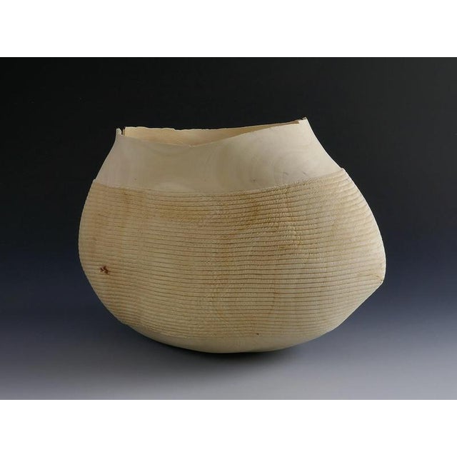 Ovalie Vase in Fig Tree Wood by Yann Marot For Sale - Image 4 of 10