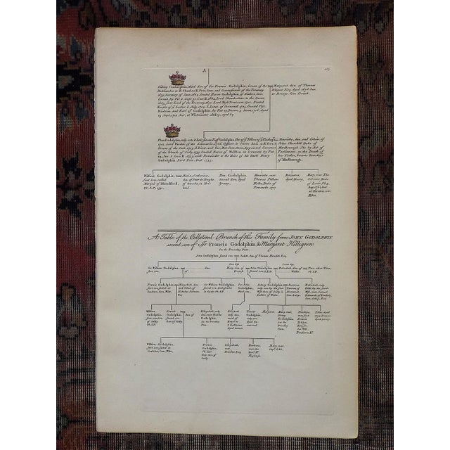 Antique 18th Century Copperplate Heraldry Crest & Family Tree