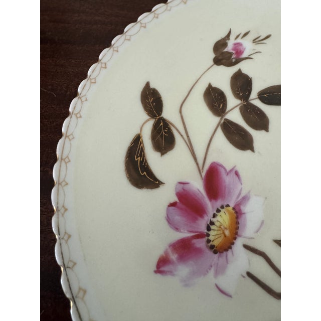 19th Century 19th Century Pink Floral Cabinet Plates a Pair For Sale - Image 5 of 12
