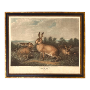 Vintage Hares (C. 1831) Framed Reproduction Print