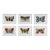 Set of 6 - One-of-a-Kind Organic Modern Butterflies Oil Paintings | Unique Pieces | Unframed For Sale
