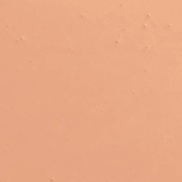 BACKDROP Standard Finish Interior Paint in Apertivo Hour (Deep, Dark Peach) - 1 Gallon For Sale - Image 4 of 6