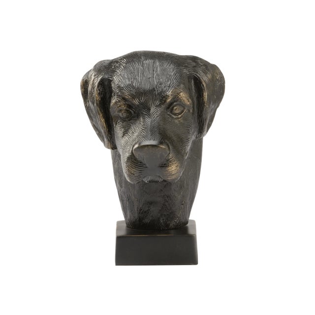 Perfect for a book shelf or desk, this bronze dog head sculpture brings a rustic touch to your living room or office.