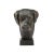 Perfect for a book shelf or desk, this bronze dog head sculpture brings a rustic touch to your living room or office.