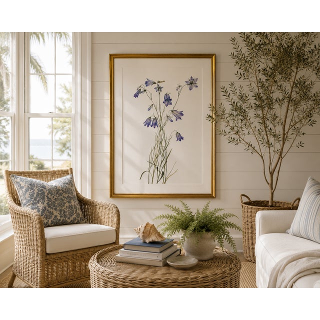 Illustration Harebell, Vintage Botanical Art Print Reproduction by Mary Vaux Walcott, 40" X 60" For Sale - Image 3 of 11