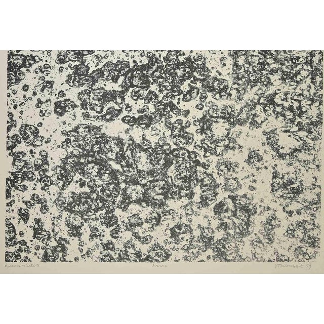 Amas is an artwork realized by Jean Dubuffet (Le Havre 1888 - 1985 Paris), 1959. Sheet 17 for the portfolio Eaux, Pierres,...