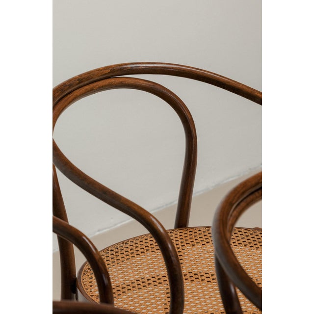 Wood Model 209 Dining Chairs from Thonet, 1960s, Set of 6 For Sale - Image 7 of 13