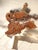 Vintage Live Edge Burl Redwood Wall Clock For Sale - Image 4 of 15