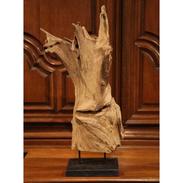 2000 - 2009 Vintage Driftwood Sculpture on Green Marble Base For Sale - Image 5 of 7