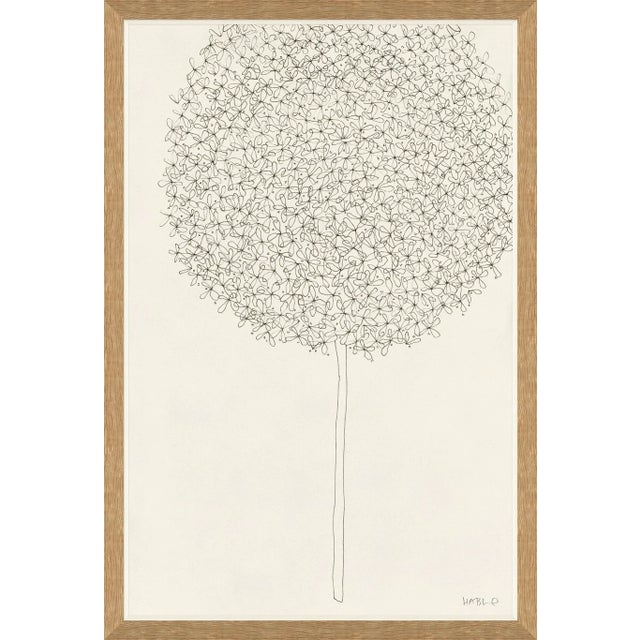 Contemporary Allium Framed Art Print by Susan Hable For Sale - Image 3 of 3
