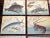 This set of nine (9) lithographs (offset) depict fish and poetry from the portfolio 'A Shoal Of Fishes" by theJapanese...