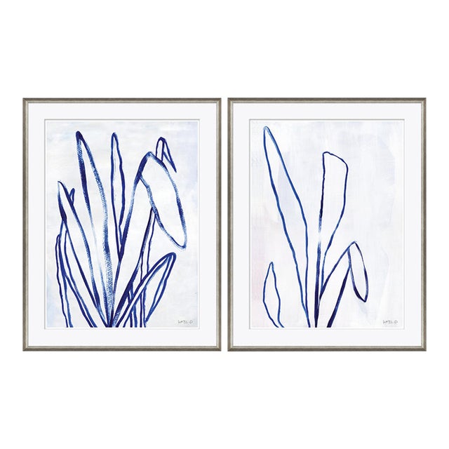 Agave and Century Plant by Susan Hable For Sale
