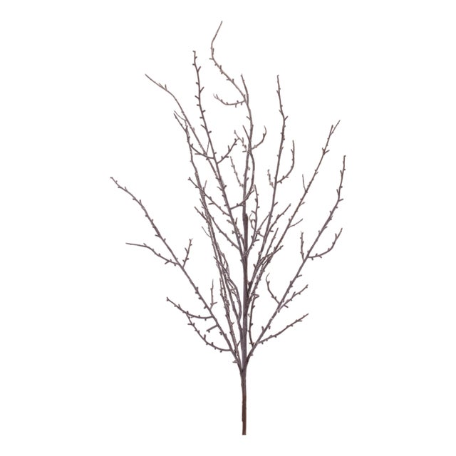 Frosted Snowy Twig Branch (Set of 4) For Sale