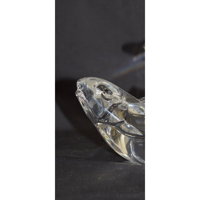 1980s Orrefors Crystal Fish Trout Paperweight Figurine Olle Alberius Sweden Signed For Sale - Image 5 of 18