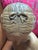 Late 19th Century French Terracotta Bust of "La Rieuse" After Jean-Baptiste Pigalle For Sale - Image 6 of 8