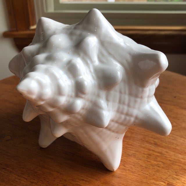 Late 20th Century Pearl White Conch Shells Cachepots Set of 2 Chairish