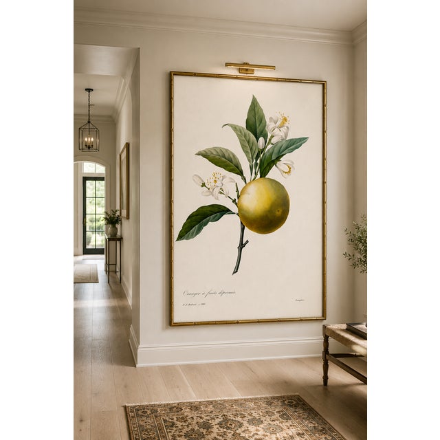 Orange by Redouté, Vintage Botanical Art Print, 30" X 40" For Sale - Image 9 of 10