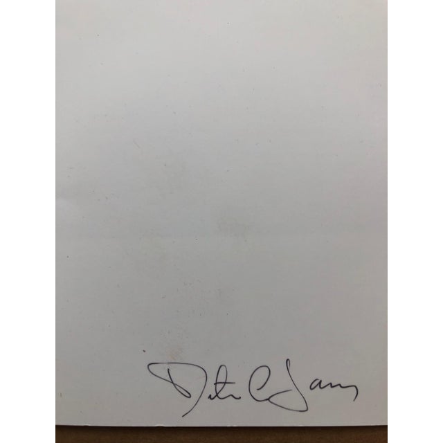 Peter C. Jones 1, Dragonfly, Large Format Photo 24X20 Color Photograph Beach House, 2004 For Sale - Image 4 of 5