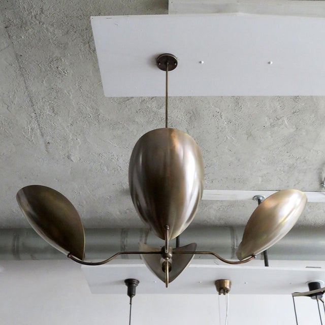 Not Yet Made - Made To Order Chiton-4 Chandelier by Gallery L7 For Sale - Image 5 of 10