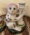 Pair of Wong Lee Porcelain Pink Haired Monkey Candle Holder, Wl 1985 Insignia For Sale In Chicago - Image 6 of 13