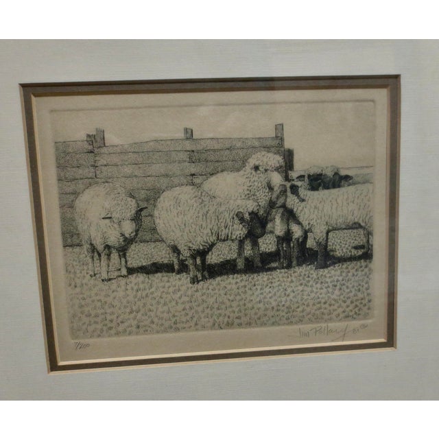 Etching of sheep in the field by Jim Pollard, a study in fields of textures, the grass, the wool, and the planks of the...