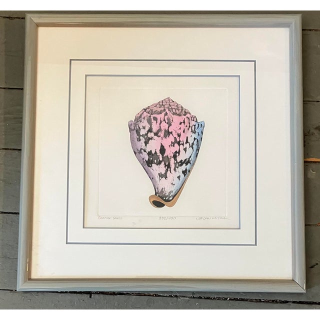 Gallery Wall Collection-6 Original Lithograph Nautical Shell Prints by Listed Artist Dan Mitra- Set of 6 For Sale - Image 13 of 13