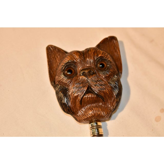 Late 19th Century 19th Century Magnifying Glass With Hand Carved Yorkie Handle For Sale - Image 5 of 8