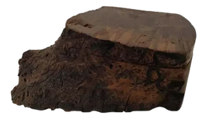 Natural Form Burl Wood Box