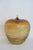This stunning Decorative Apple is made of glass. This beautiful Apple statue has a brilliant vintage design; it features a...